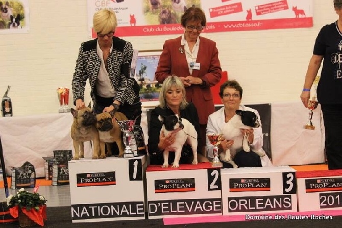 des sables de sarry - NE D'ORLEANS 2014