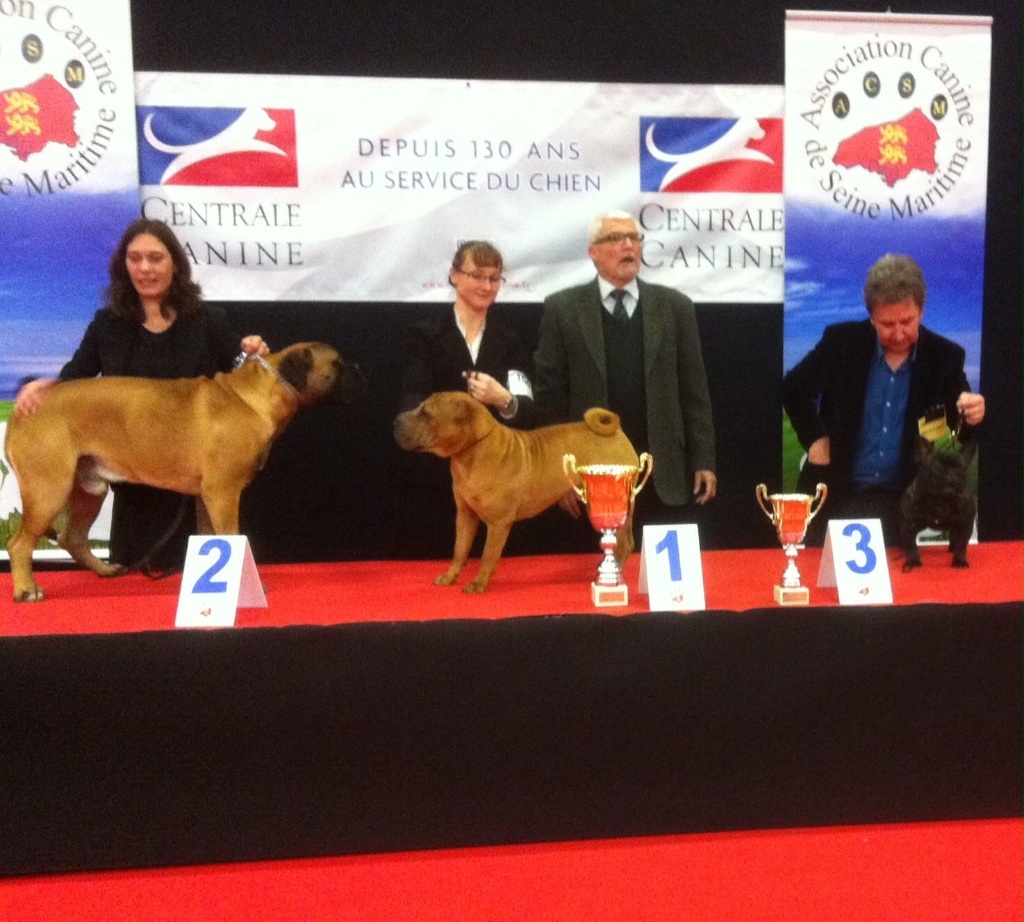 des sables de sarry - SPECIALE DE RACE ROUEN