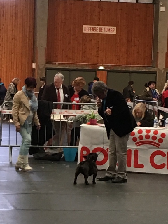 des sables de sarry - EXPOSITION NATIONALE CHATEAUROUX