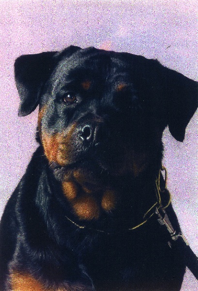 Rezza de la Vallee De La Credogne