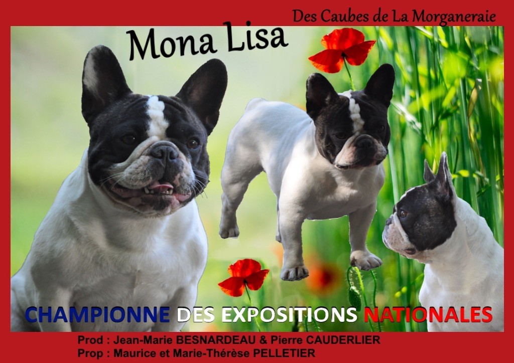 CH. Mona lisa des Caubes de la Morganeraie