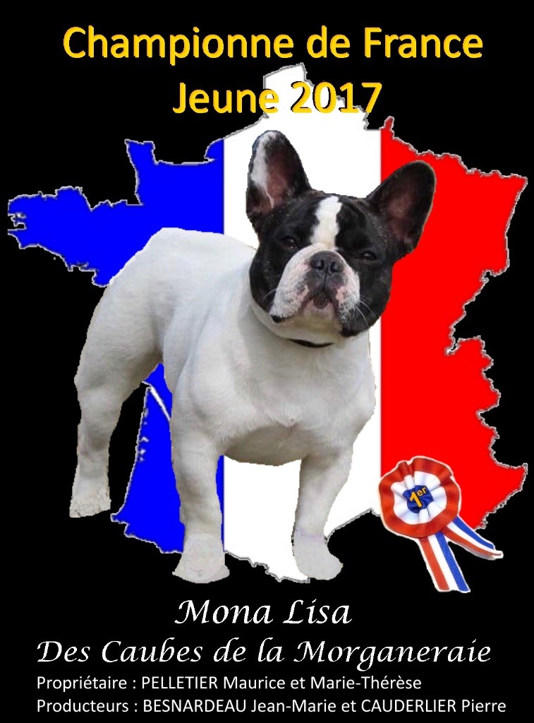 des sables de sarry - MONA LISA DES CAUBES DE LA MORGANERAIE